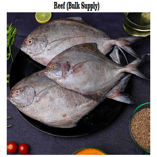 Reef Enterprises seafood