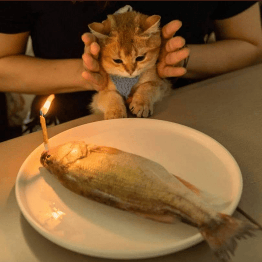 Fish Heads (for soups, curries, cat meals)