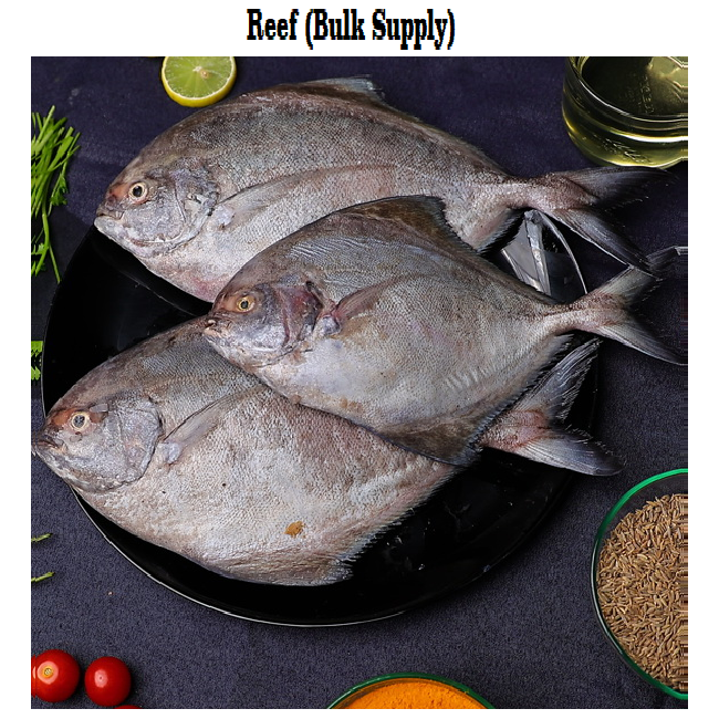 Black Pomfret/Halwa fish Reef Doof