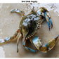 Blue Crab/Nandu/Aedi - Reef