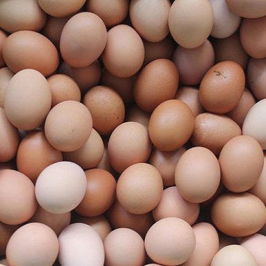 Desi Eggs - Doof