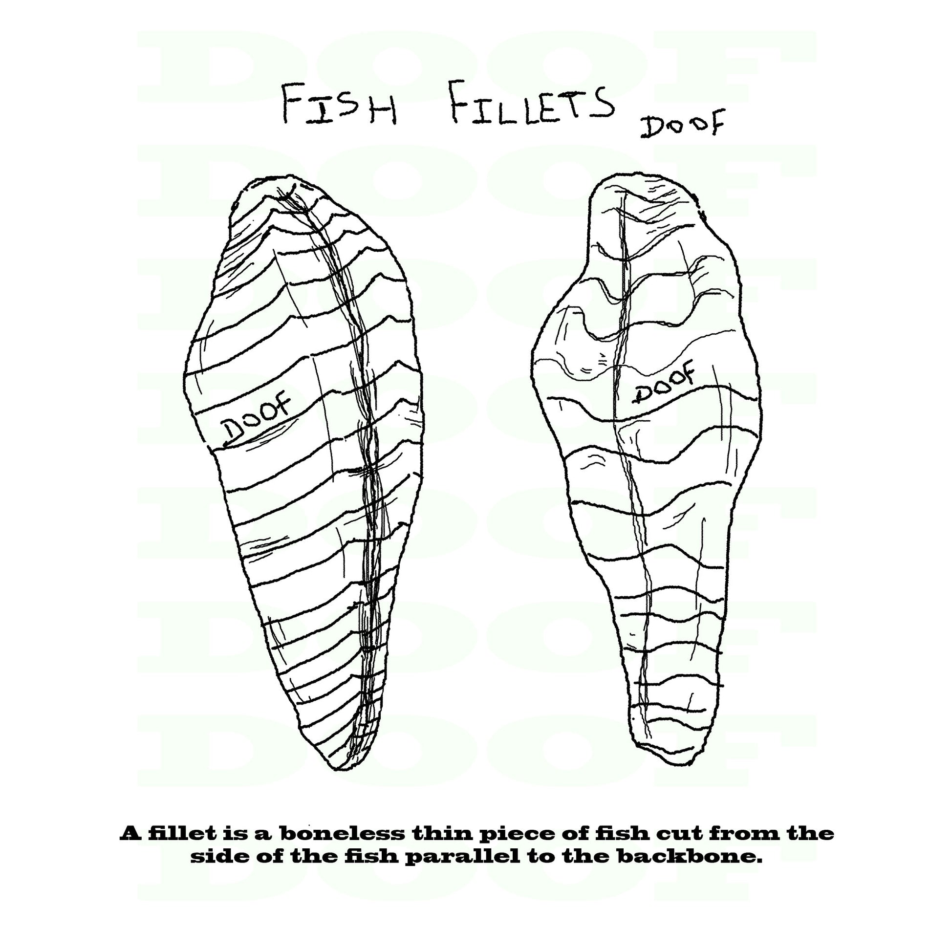 fish fillet Doof sketch