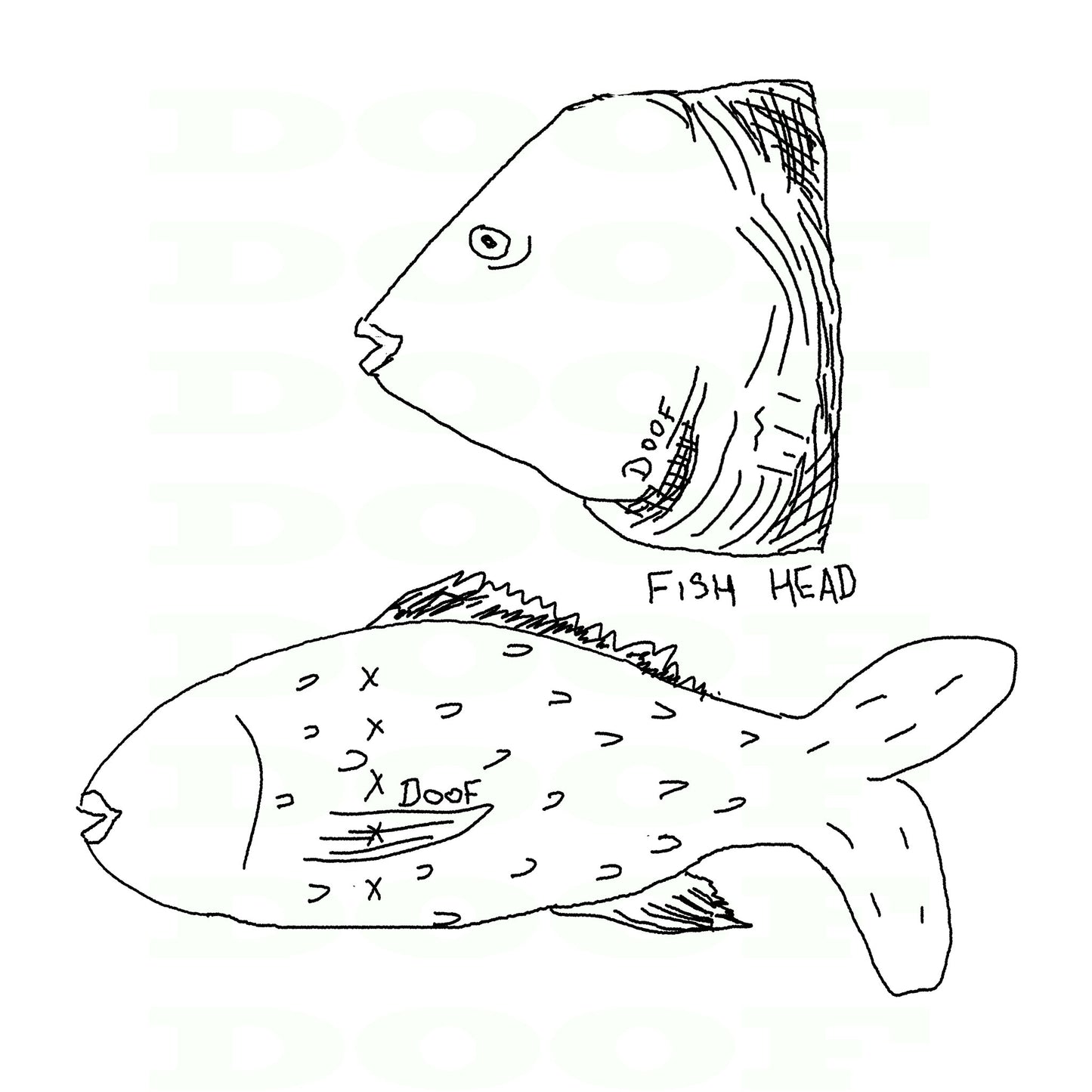  fish head Doof sketch