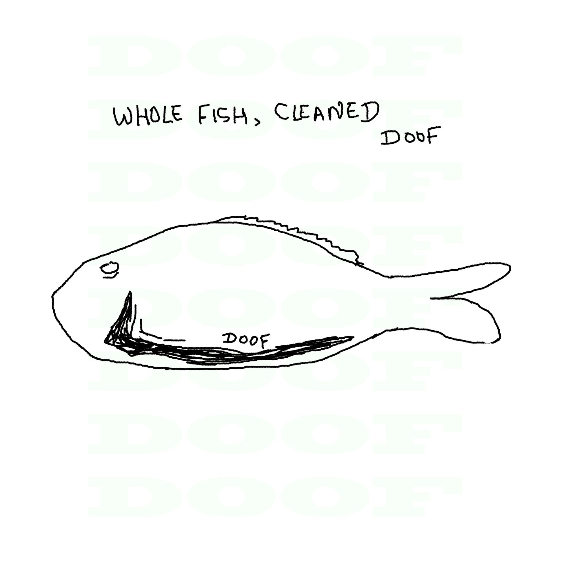Bhetki/Dangri/Asian Sea Bass Whole Clean- Doof