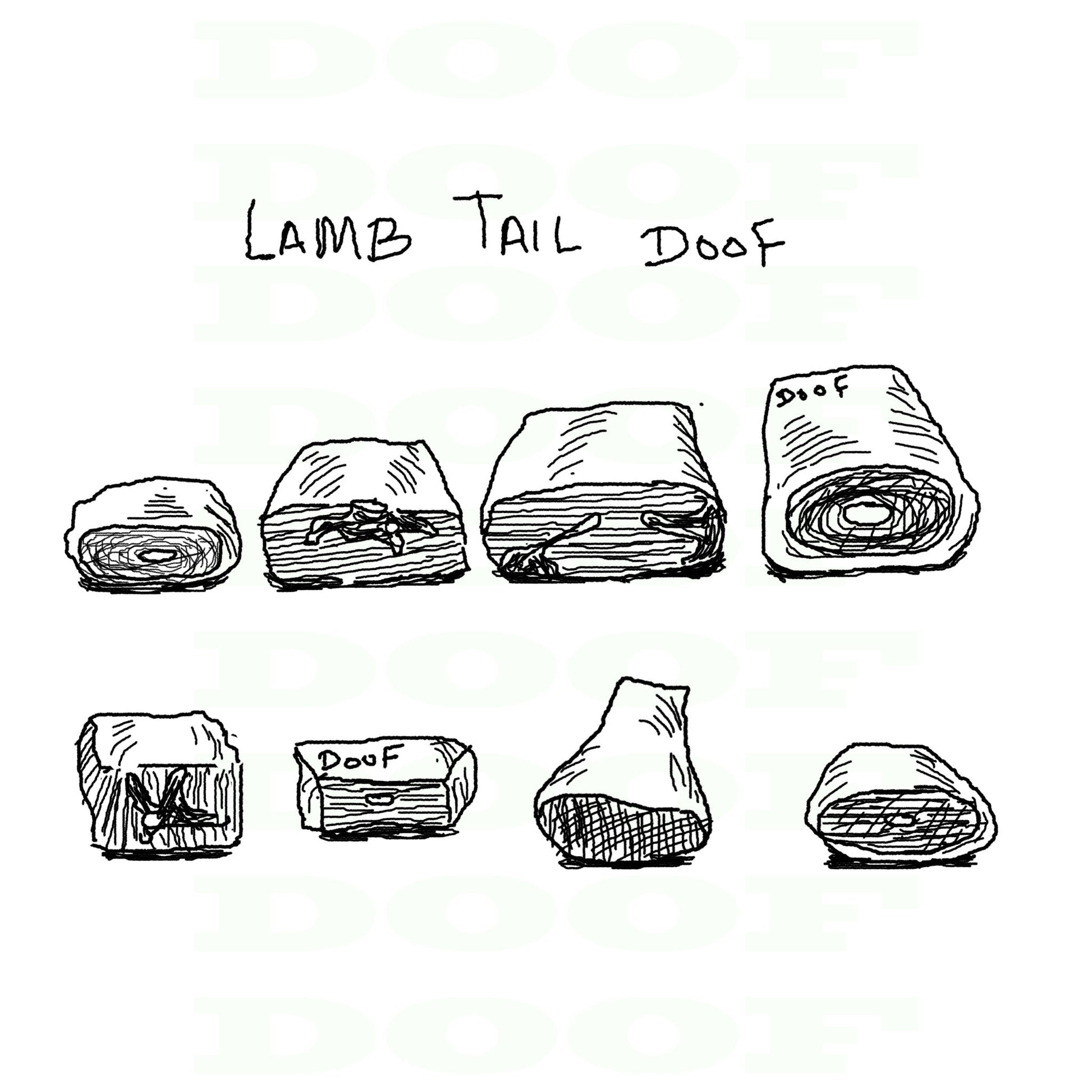 Lamb tail Doof sketch