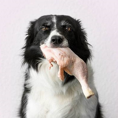 Chicken For Pets! (with bone) For Dogs, Cats, all Pets