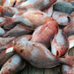 Red snapper whole, order fresh clean meats from Doof, Gandhidham-India